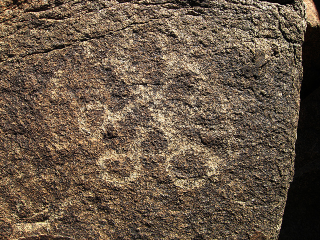 Corn Spring Petroglyph (1249)