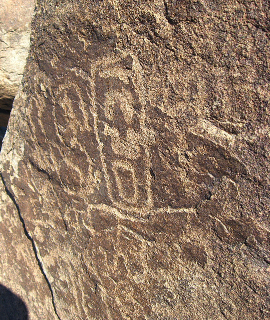 Corn Spring Petroglyph (1250)