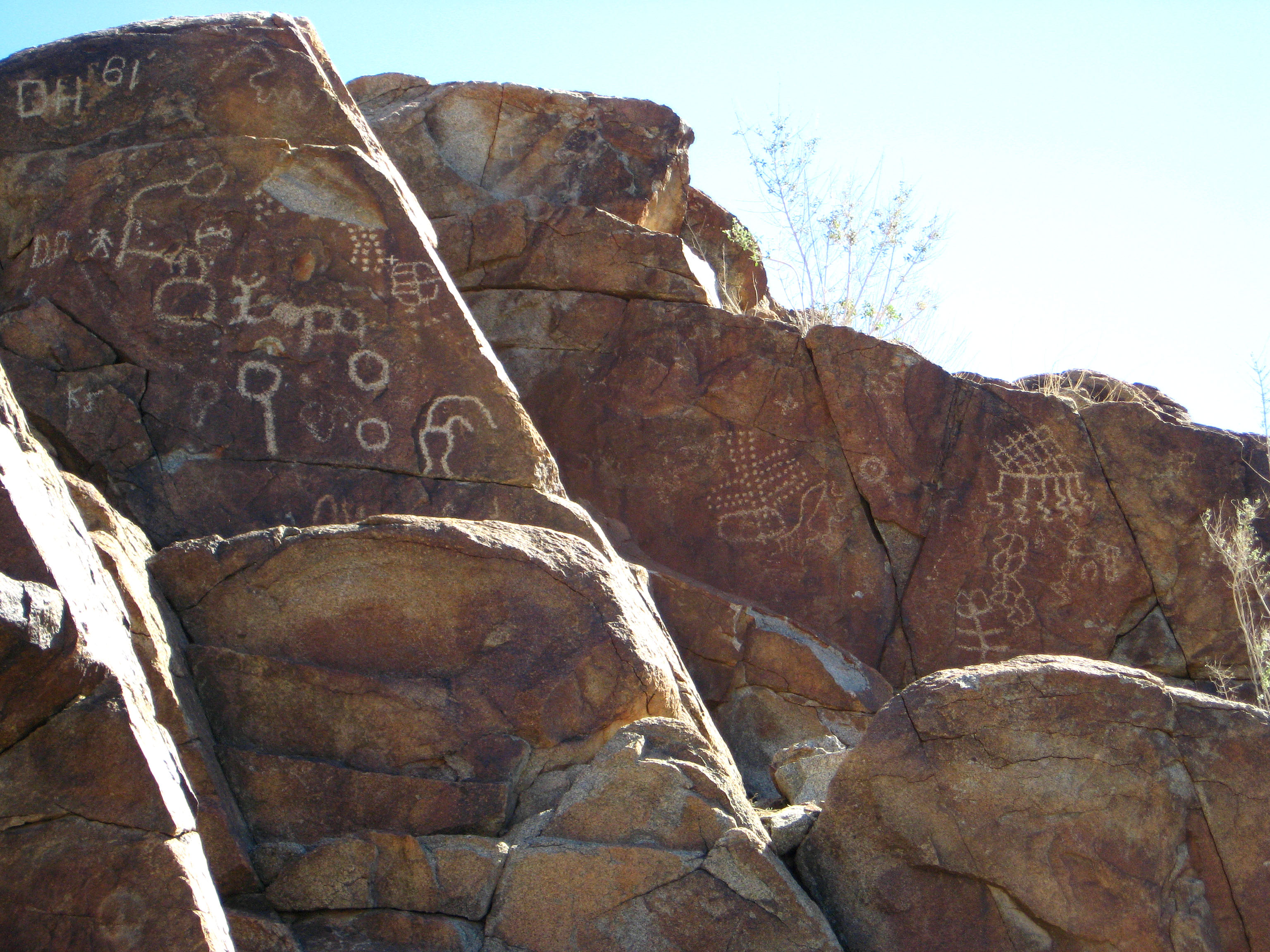 Corn Spring Petroglyph (1252)