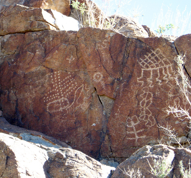 Corn Spring Petroglyph (1254)