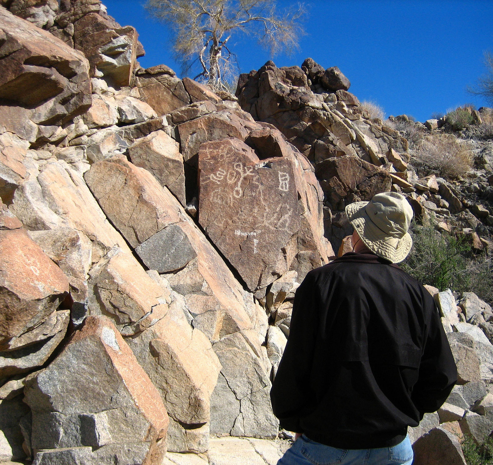 Corn Spring Petroglyph (9038)