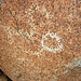 Corn Spring Petroglyph (9040)