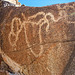 Corn Spring Petroglyph (9043)