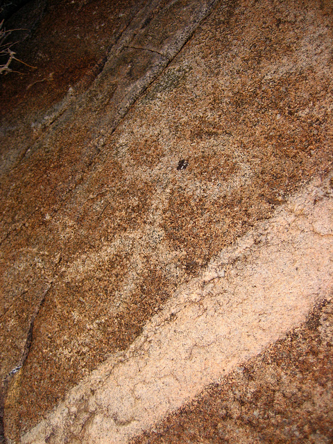 Corn Spring Petroglyph (9044)