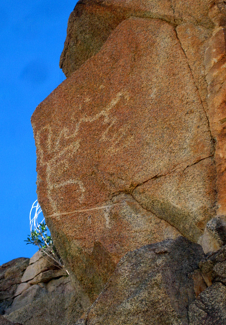 Corn Spring Petroglyph (9045)