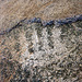 Corn Spring Petroglyph (9047)