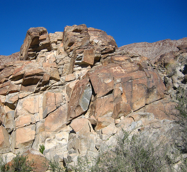 Corn Spring Petroglyph (9048)