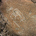 Corn Spring Petroglyph (9049)