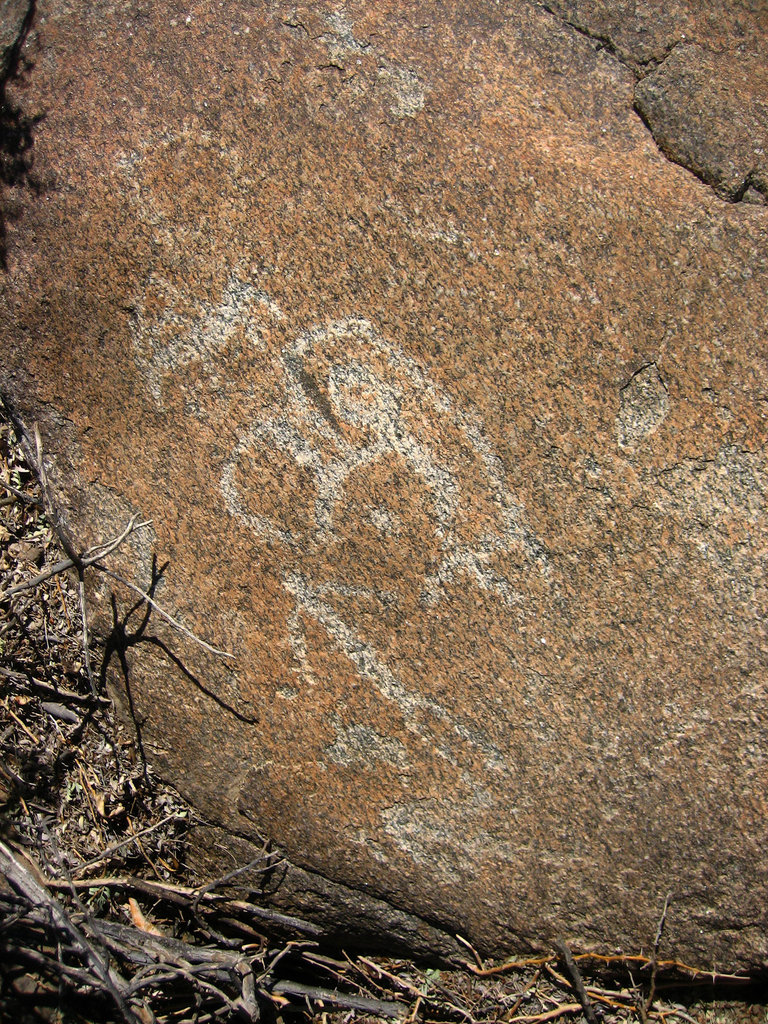 Corn Spring Petroglyph (9049)