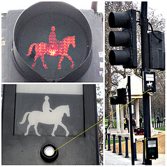 Equestrian crossing