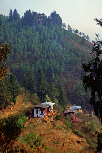 Farm house complex at the hillside