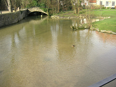 fontoj - Quellen - sources- springs