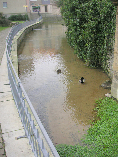 fontoj - Quellen - sources- springs