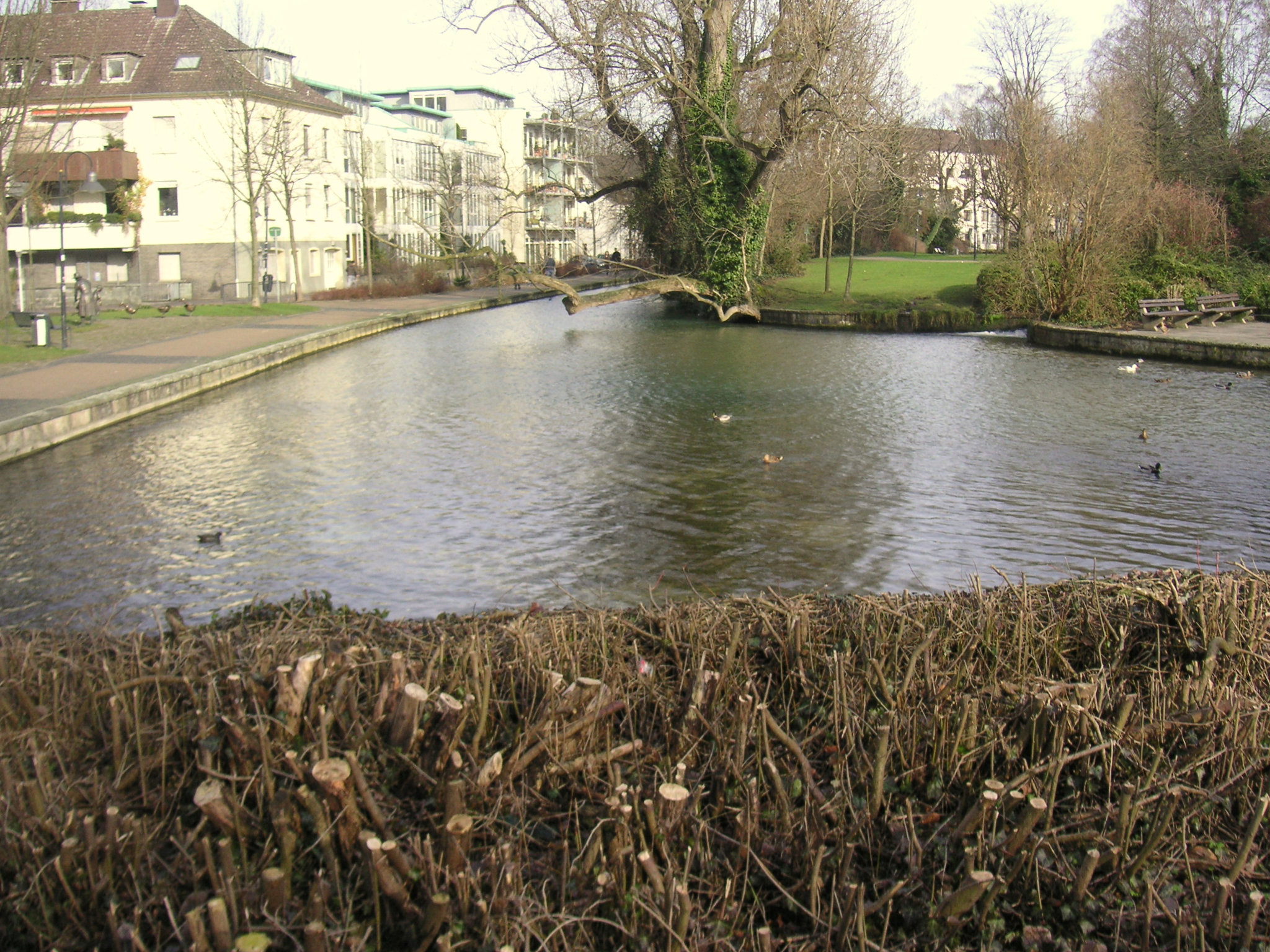 fontoj - Quellen - sources- springs