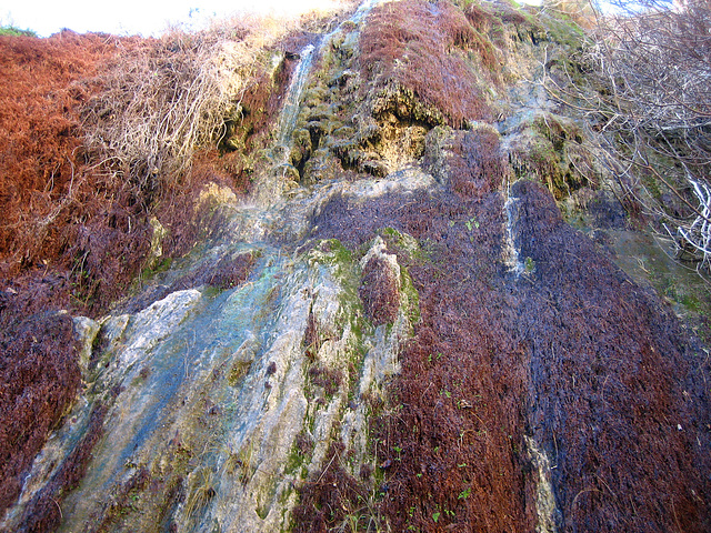 Tiger Creek Waterfall (9078)