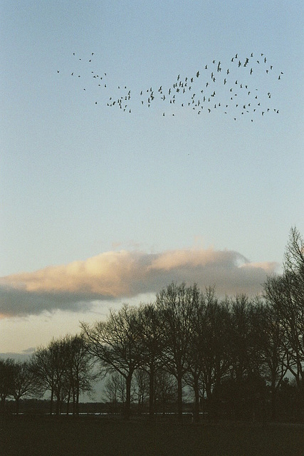 Abendstimmung / evening scene