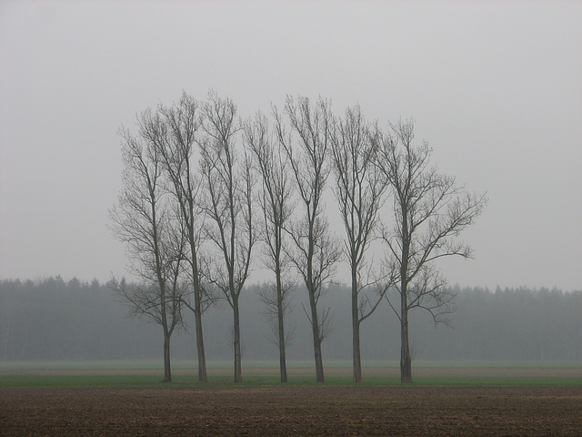 Die glorreichen Sieben