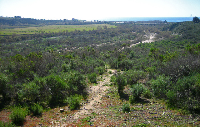 View From Trail Across I-5 to Pacific (9161)