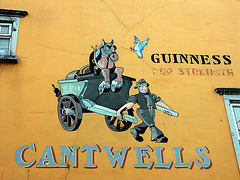 Guiness - For Strength