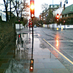 Wet street
