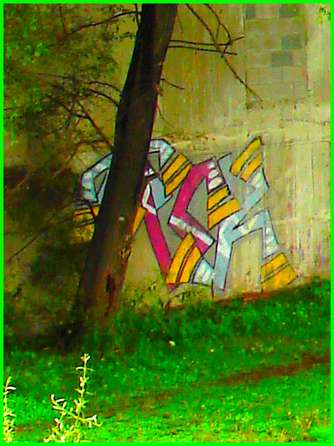 Graffitis et rapides -  Graf and rapids - Dans ma ville - Hometown -  October 12th 2008.