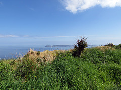 Blick auf Rathlin Island