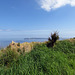 Blick auf Rathlin Island