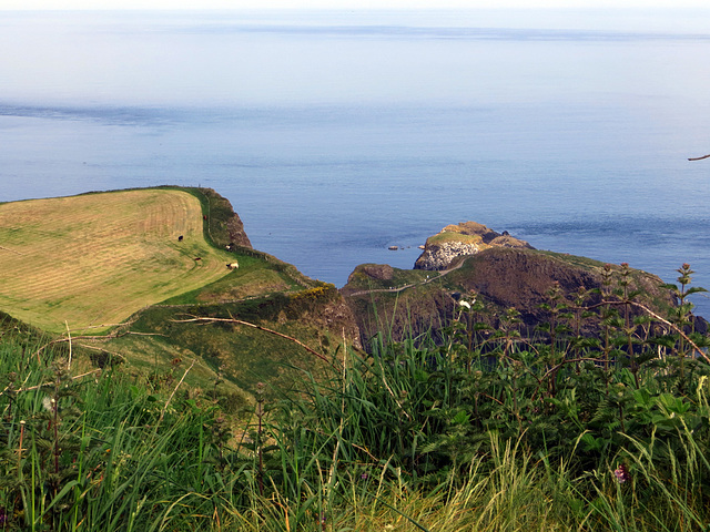 Carrick-a-Rede Rope Bridge