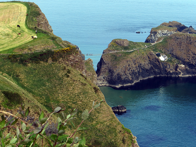 Carrick-a-Rede Rope Bridge