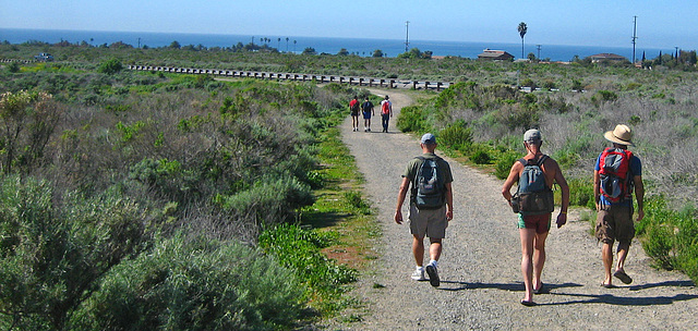 Trail to San Onofre (9162)