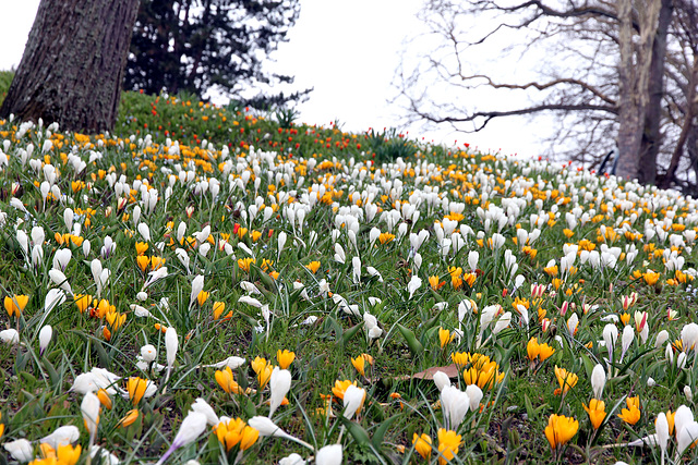 Frühlingspower