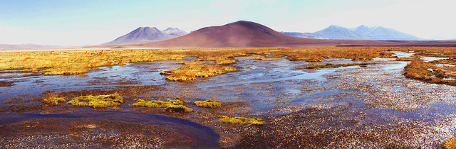 Altiplano panoramique