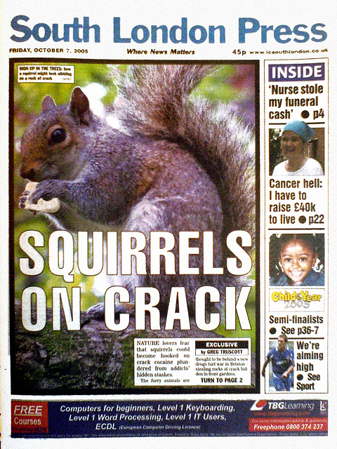 Crack squirrel 2