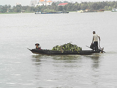 Vietnam et Mékong