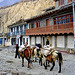 Jomsom the starting point of the Mustang treck