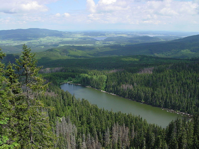 Lago Plešné kaj la montaro Šumava