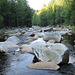 Rivero Vydra (Lutro) en la montaro Šumava