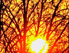 At sunset dark against the fiery orb*