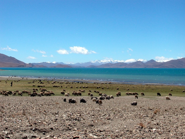 Phurma Yutso lake on the way to Gyantse