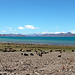 Phurma Yutso lake on the way to Gyantse