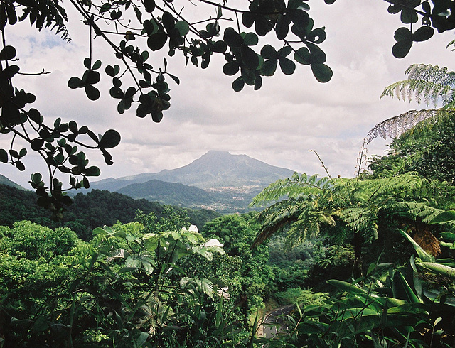 La trace des jésuites Martinique 2006