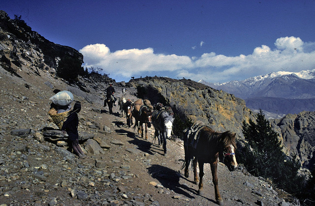 Way down from NyiLa (pass) 3950 m