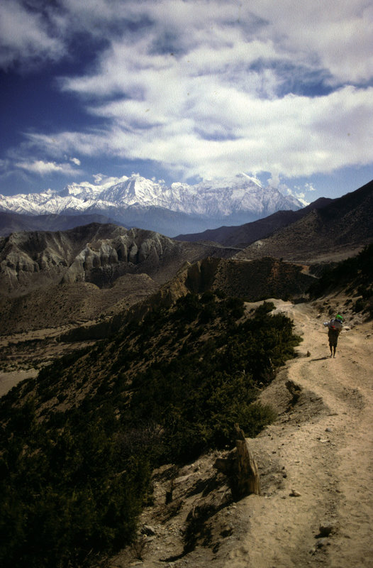 Way down from NyiLa (pass) 3950 m