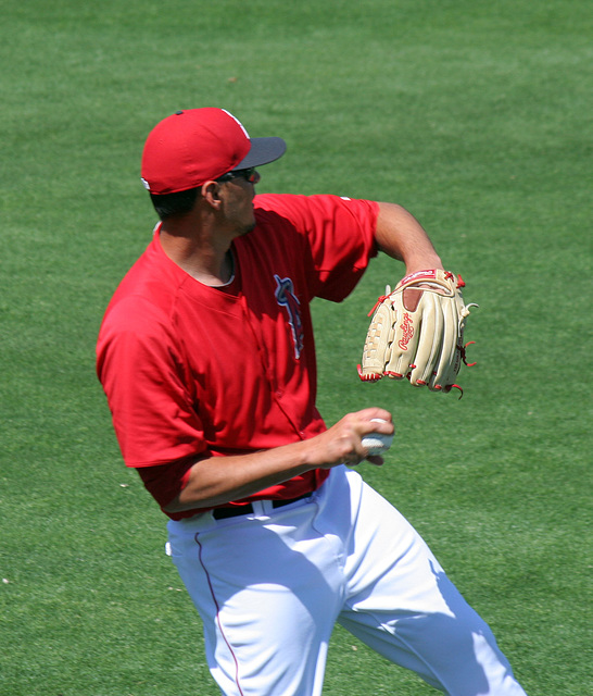 Anaheim Angels Player (1060)