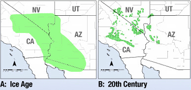 Joshua Tree Range