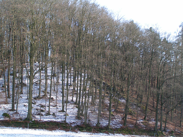 Juhöhe, Odenwald