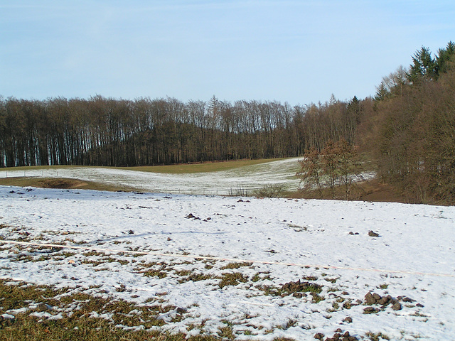 Juhöhe, Odenwald