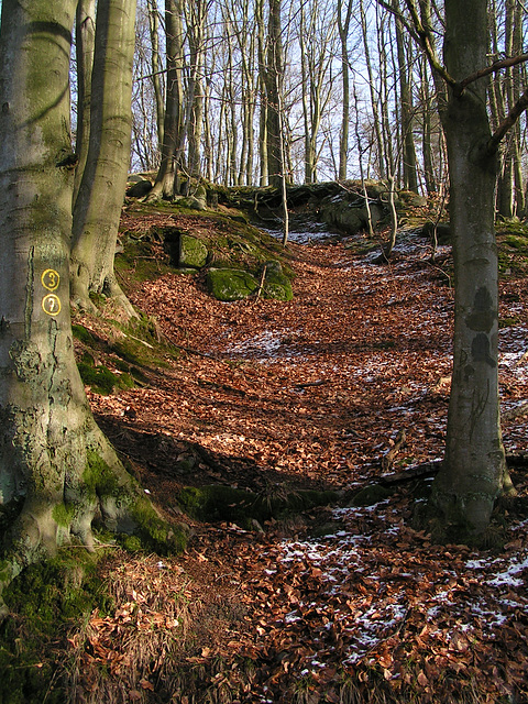 Juhöhe, Odenwald