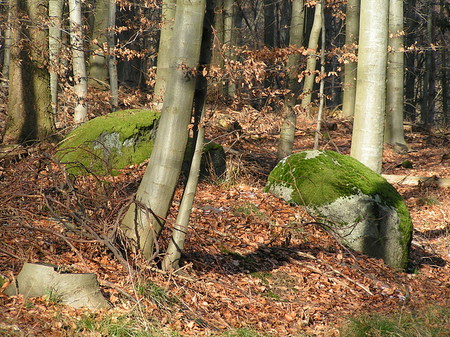 Juhöhe, Odenwald