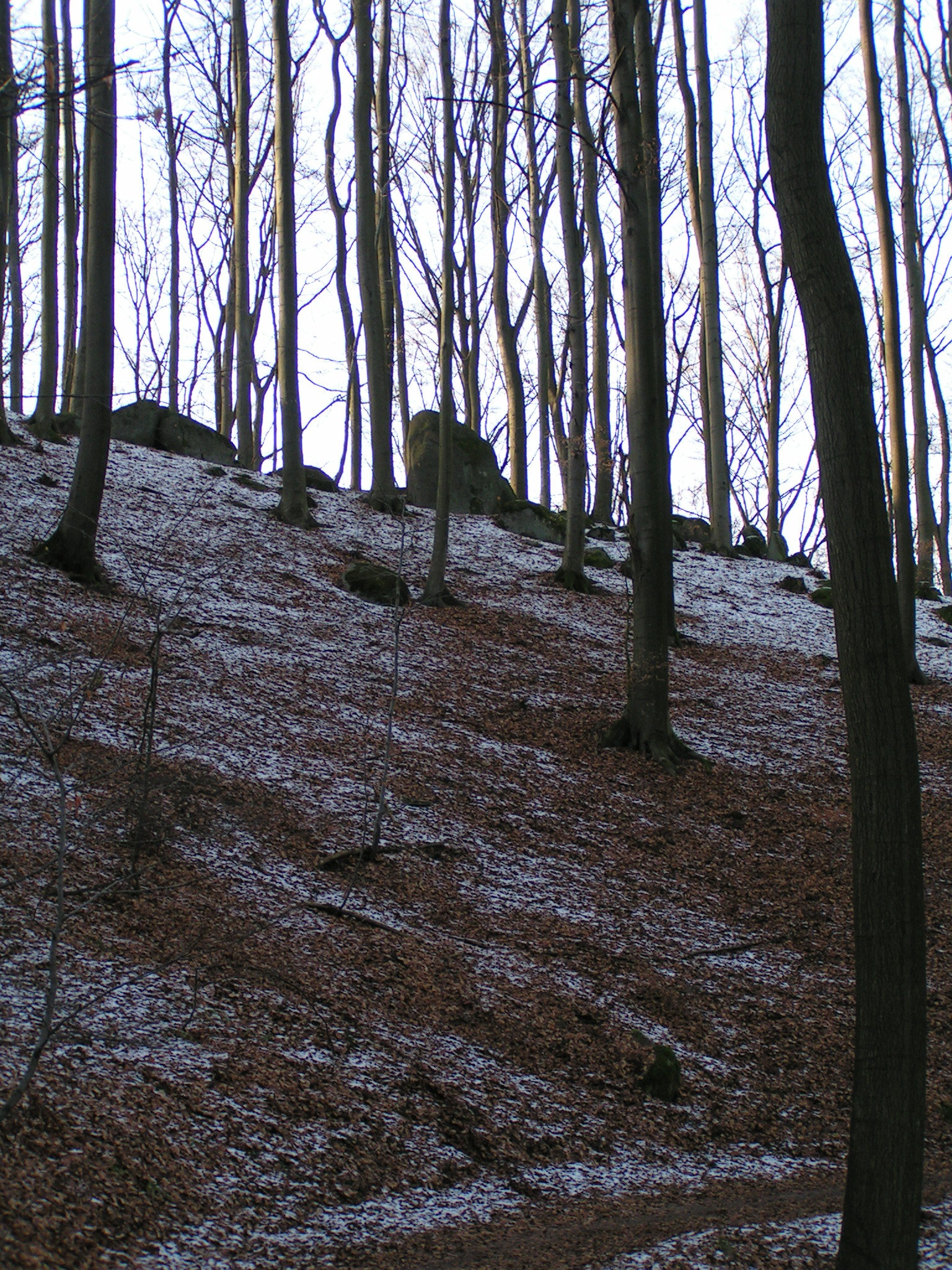 Juhöhe, Odenwald